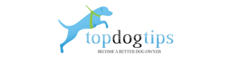 Top Dog Tips