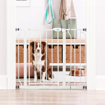 White Carlson Extra Wide Walk-Thru Pet Gate with all-steel, chew-proof construction, designed for easy installation and everyday pass-through use. Fits openings from 74.9 cm to 90.2 cm wide, stands 76.2 cm tall, and includes a 10.1 cm extension for versatile placement in doorways, hallways, or at the bottom of stairs. This model is sold exclusively in the UK.