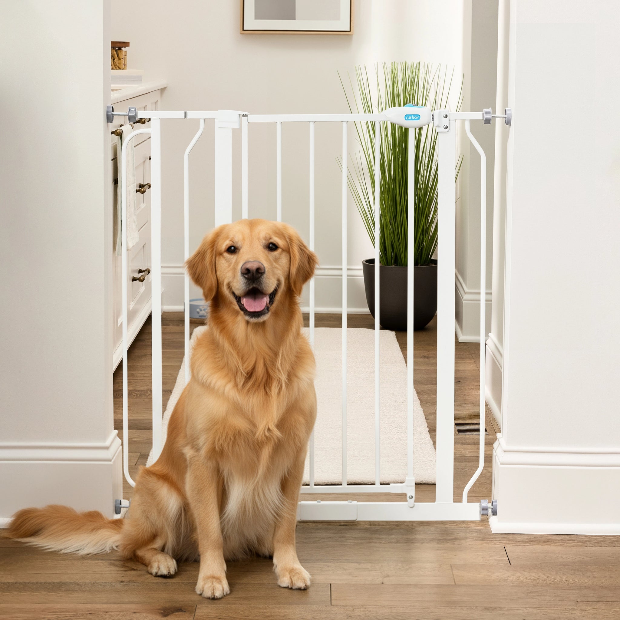 White Carlson 91.4 cm Extra Tall Walk-Thru Pet Gate made from durable, chew-proof steel. Fits 74.9–90.2 cm openings with a 10.1 cm extension. Tall, walk-through design ideal for larger or active dogs, providing secure and convenient pet containment in the home.